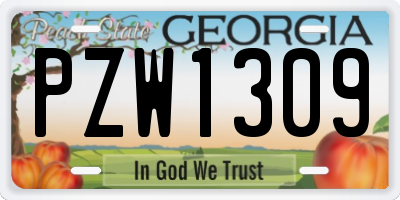 GA license plate PZW1309