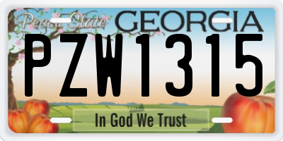 GA license plate PZW1315