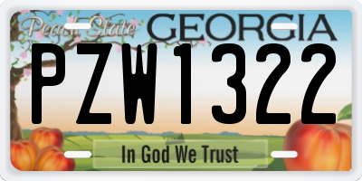 GA license plate PZW1322