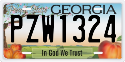 GA license plate PZW1324