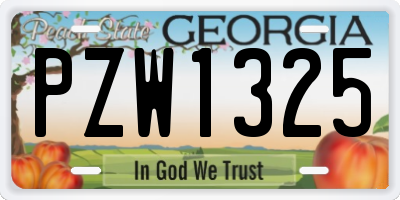 GA license plate PZW1325