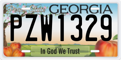 GA license plate PZW1329