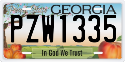 GA license plate PZW1335