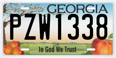 GA license plate PZW1338