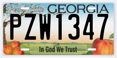 GA license plate PZW1347