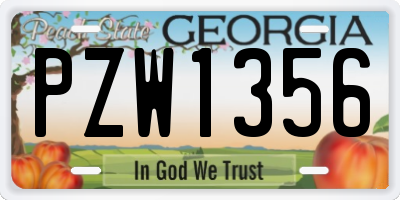 GA license plate PZW1356