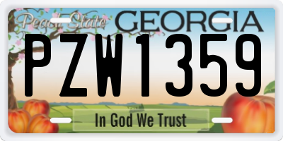 GA license plate PZW1359