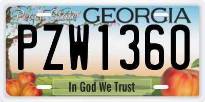 GA license plate PZW1360