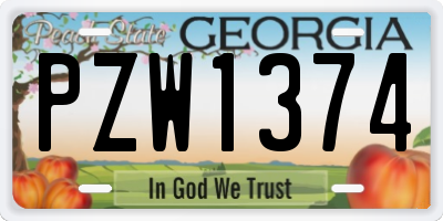 GA license plate PZW1374