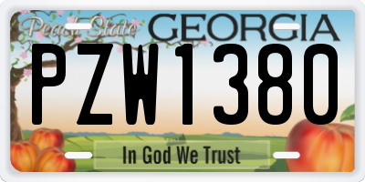 GA license plate PZW1380
