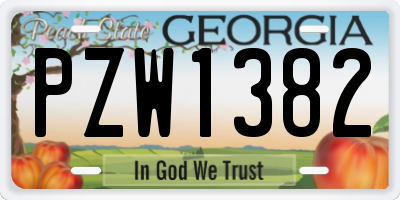GA license plate PZW1382
