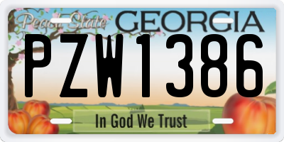 GA license plate PZW1386