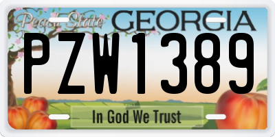 GA license plate PZW1389