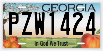 GA license plate PZW1424