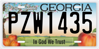 GA license plate PZW1435