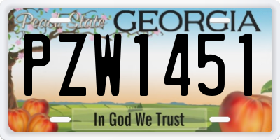 GA license plate PZW1451