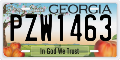 GA license plate PZW1463