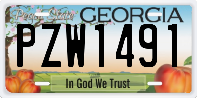 GA license plate PZW1491