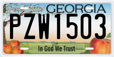 GA license plate PZW1503