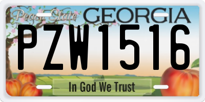 GA license plate PZW1516