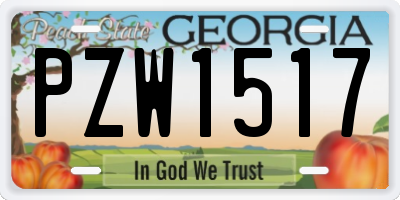 GA license plate PZW1517