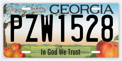 GA license plate PZW1528