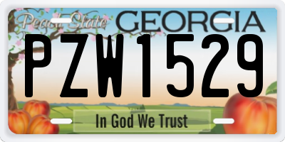 GA license plate PZW1529