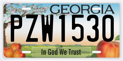 GA license plate PZW1530