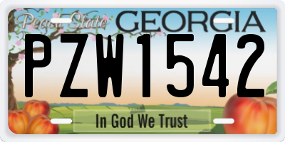 GA license plate PZW1542