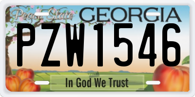 GA license plate PZW1546