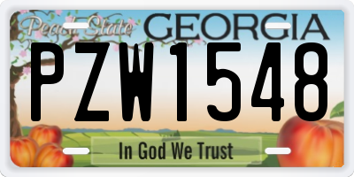GA license plate PZW1548