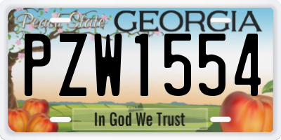 GA license plate PZW1554