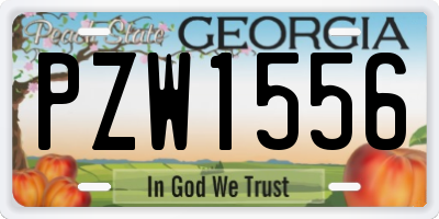 GA license plate PZW1556
