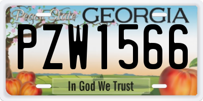 GA license plate PZW1566