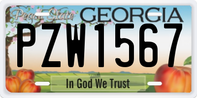 GA license plate PZW1567