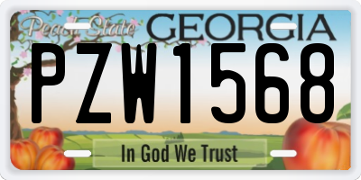 GA license plate PZW1568