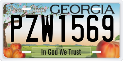 GA license plate PZW1569