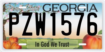 GA license plate PZW1576