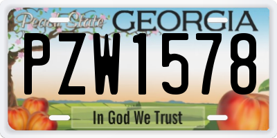 GA license plate PZW1578