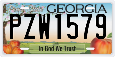 GA license plate PZW1579