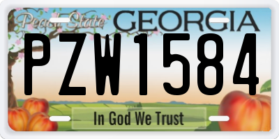 GA license plate PZW1584