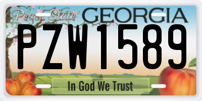GA license plate PZW1589