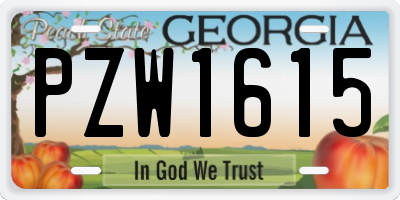 GA license plate PZW1615