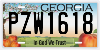 GA license plate PZW1618