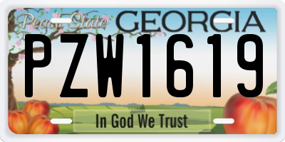 GA license plate PZW1619