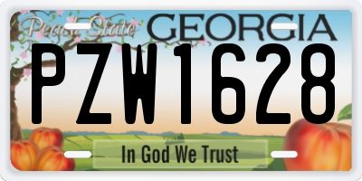 GA license plate PZW1628
