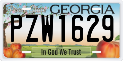GA license plate PZW1629