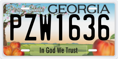 GA license plate PZW1636