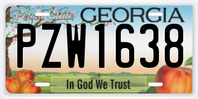 GA license plate PZW1638