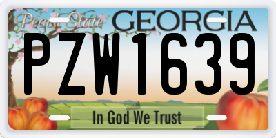 GA license plate PZW1639